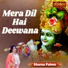 About Mera Dil Hai Deewana Song